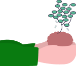 Icon 2